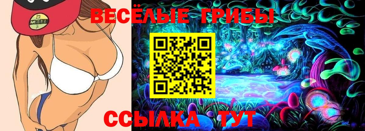 Псилоцибиновые грибы Psilocybine cubensis Дедовск