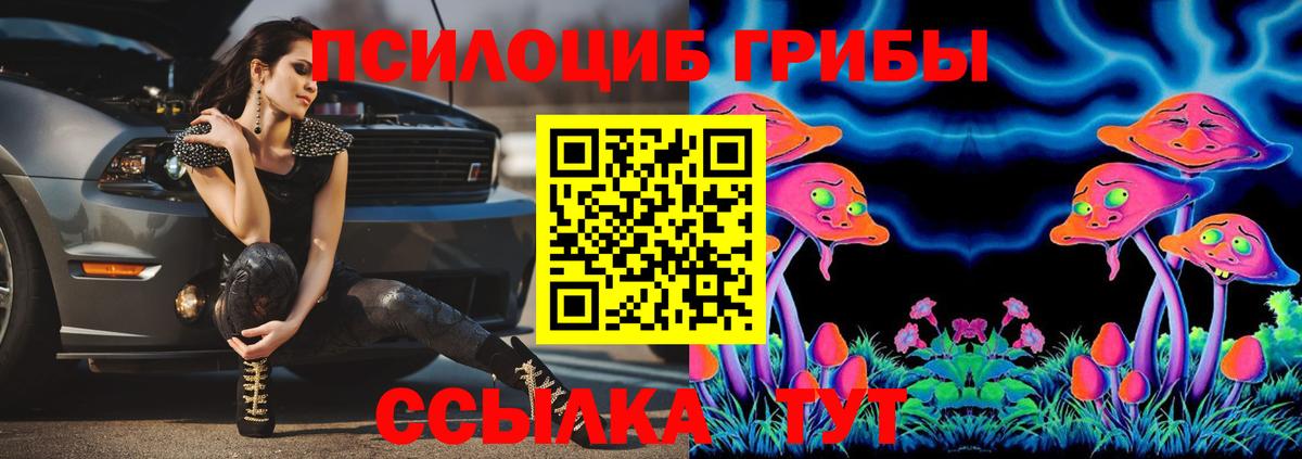 Дедовск  Псилоцибиновые грибы Magic Shrooms  Псилоцибиновые грибы ЛСД  купить наркотики сайты  Вход с VPN 
